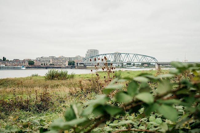 Disveld Makelaardij Nijmegen